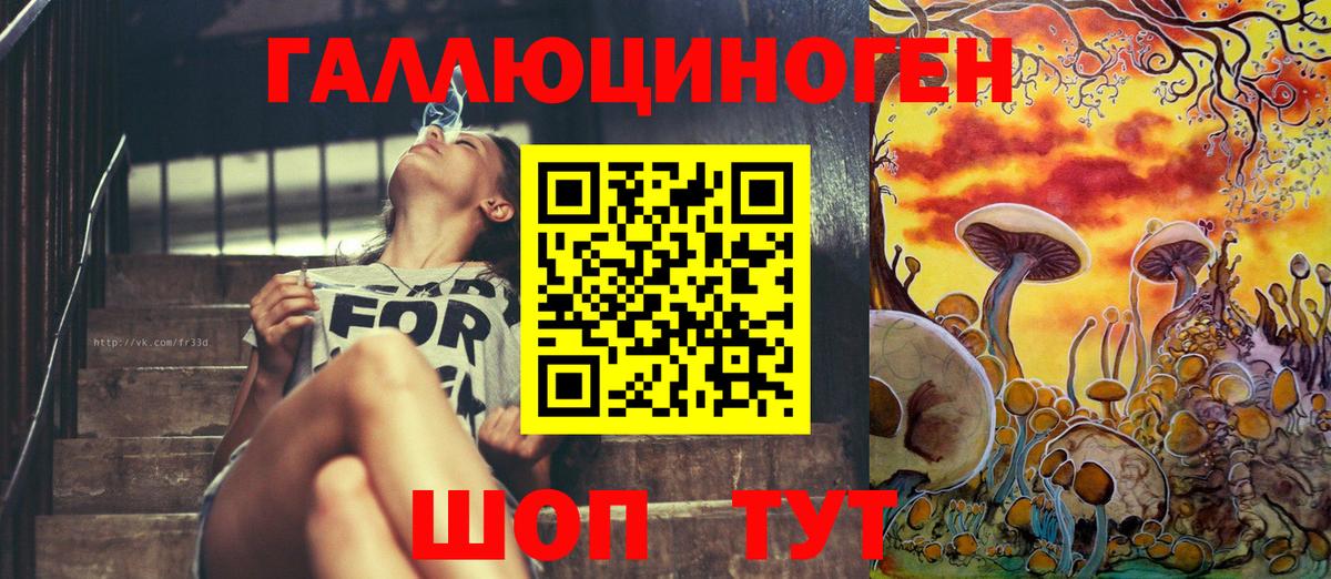 Галлюциногенные грибы Psilocybe  Галлюциногенные грибы Psilocybe  Красноармейск  Вход с VPN 