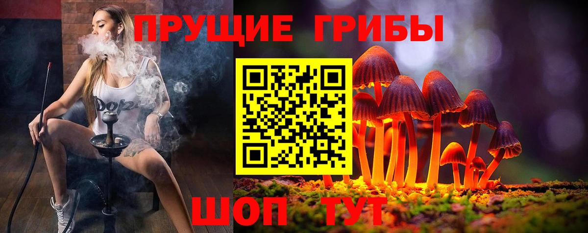 Галлюциногенные грибы Psilocybine cubensis Красноармейск